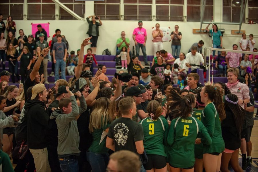 Supporters of the girls volleyball team celebrates at Petaluma High School.