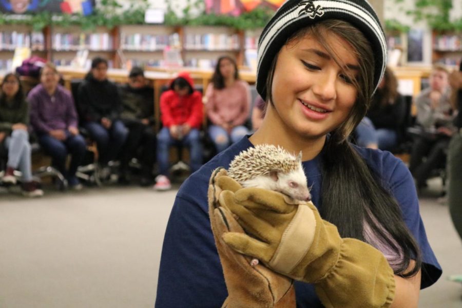 The hedgehog is displayed to the surrounding students eagerly waiting to catch a glimpse. 