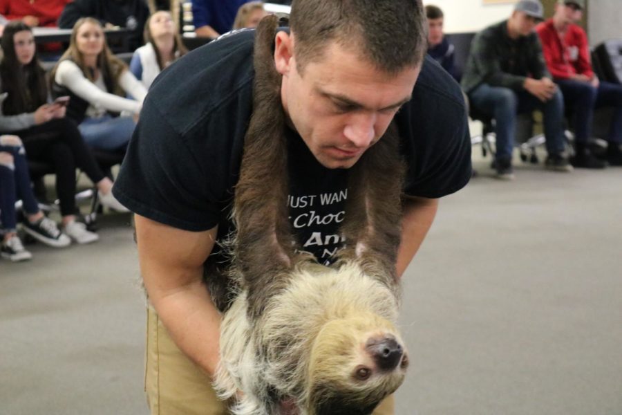 The assistant leans over to showcase the sloth to the students. 