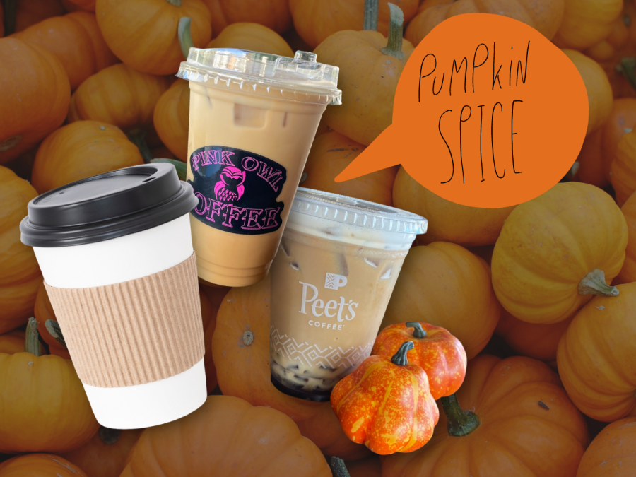 Which Pumpkin Spice is worth the trip to the coffee shop?