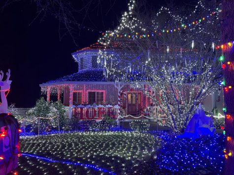 8 Must See Festive Lights in Petaluma