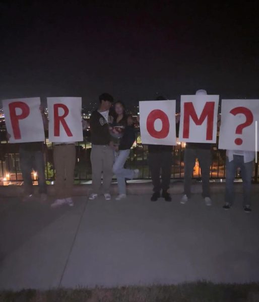 The Unforgettable Moments of Promposals
